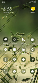 Grasses