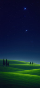星夜之风 动态