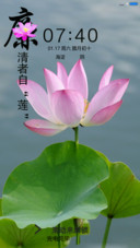 夏雨荷