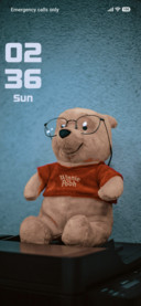 Bear