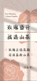 玫瑰盛开但我选山茶