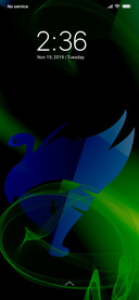 Blue bird_DWM3
