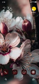 Flower Cherry