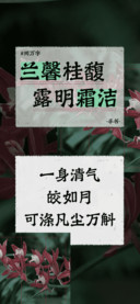 兰馨桂馥露明霜洁
