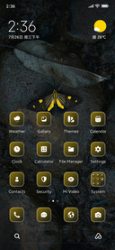 Butterfly