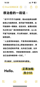 正黑加粗改小55