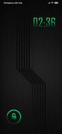 GRADIENT FLOW_DWM19