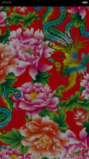 iOS东北时尚大花布【自由桌面、音乐界面】