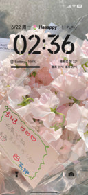ins简约花语