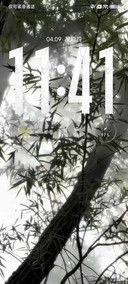 光栅 竹影