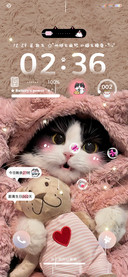 小笨猫只会爱你