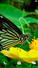 IN Butterfly n Flowers