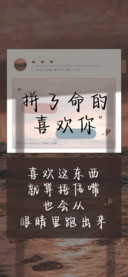 拼了命的喜欢你