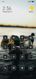Duck