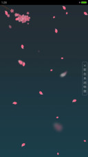 花瓣飘落