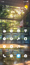 basketball court