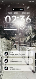 ins雪舞流年