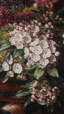 Rijksmuseum2021021922-0.0.0.0