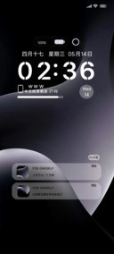 多模式旋镜