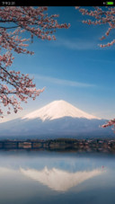 待到山花烂漫时（3d重力、多动态）