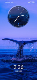blue whale