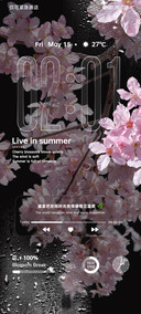 OS生如夏花 景深