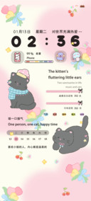治愈系ins风猫猫