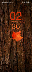 Leaf