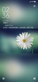蒲公英