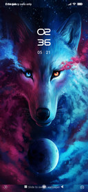 Wolf Galaxy