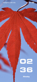 Red Maple