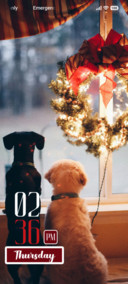 Merry Sparkle