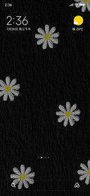 多彩 油画小雏菊