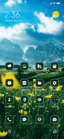Flower Field