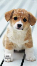 萌宠_Dog（新增V6版本，好评返全款）