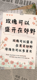 玫瑰可以盛开在郊野