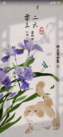 国风猫猫 十二时辰