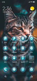 CatFace_3MDS