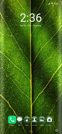 Natural three