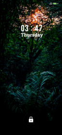 Jungle