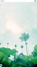 你说后来（动画锁屏,全图标,自由桌面）