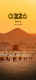 Oryx walk