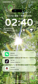 丁达尔光 治愈绿荫