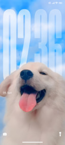 Angel Dog