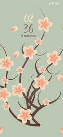 Cherry blossoms