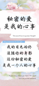 秘密的爱是我的心事