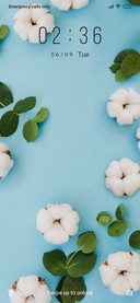 Cotton Plant_3MDS