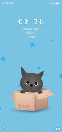 可爱猫咪