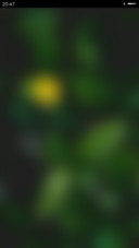 Greenest
