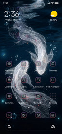 Fish